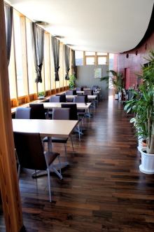 PEUGEOT in TAKASHIMA