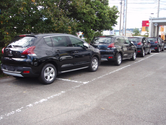 ☆ ブラック3008 ☆