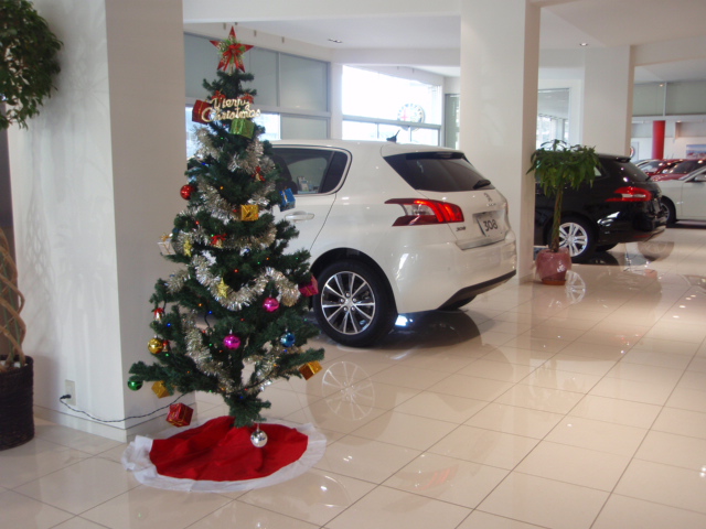 ☆ クリスマスツリー ☆　