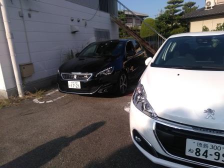 パークアシスト体験レポ