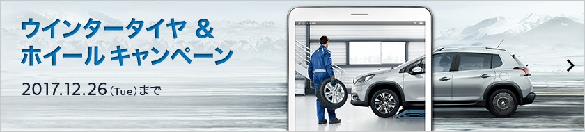 PEUGEOT WINTER DRIVE