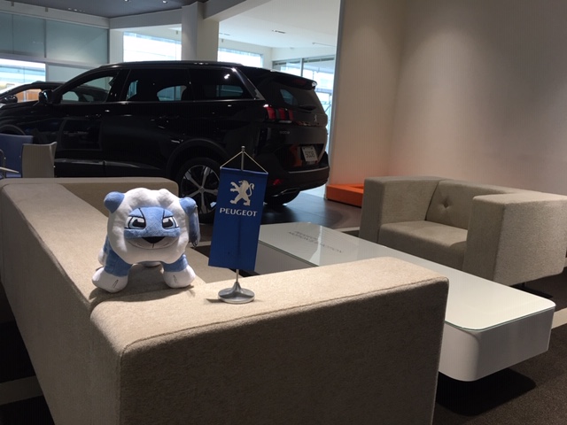 ショールーム改装オープンいたしまた。