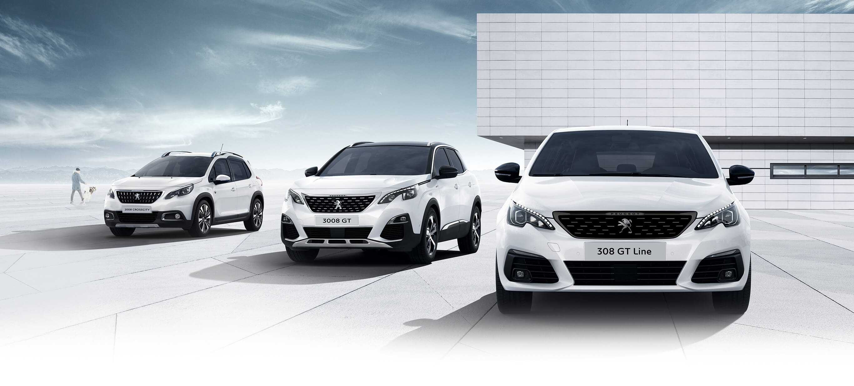 寒くなりました。