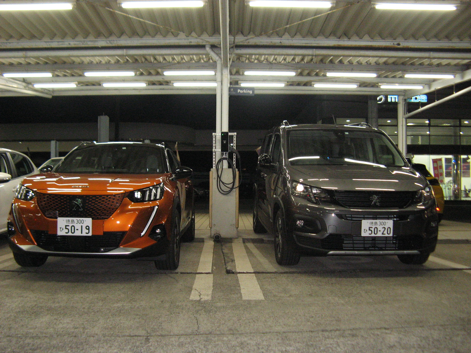 試乗車ありますよ～