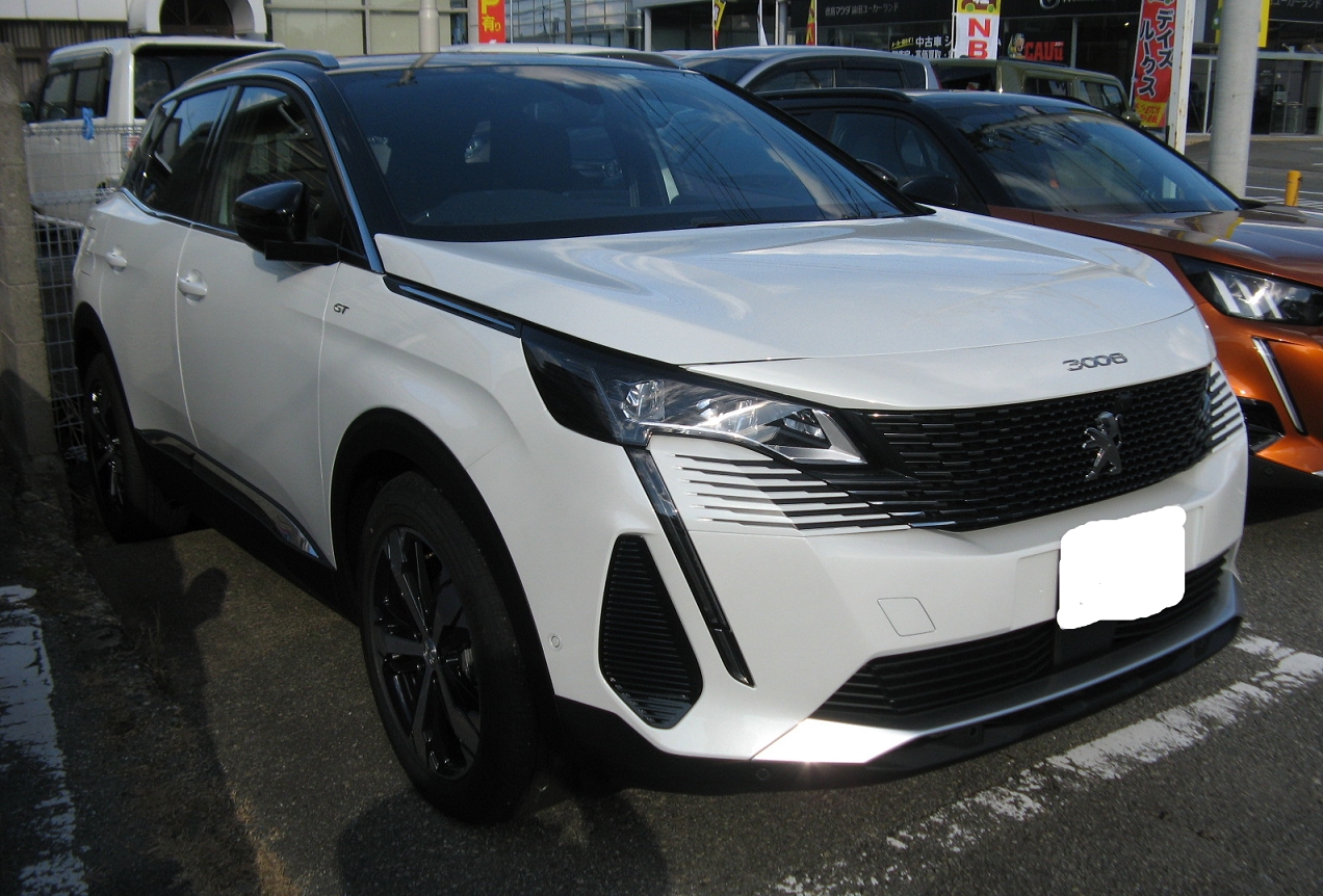 NEW3008