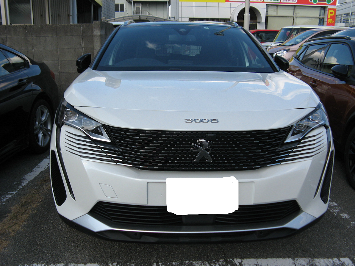 NEW3008