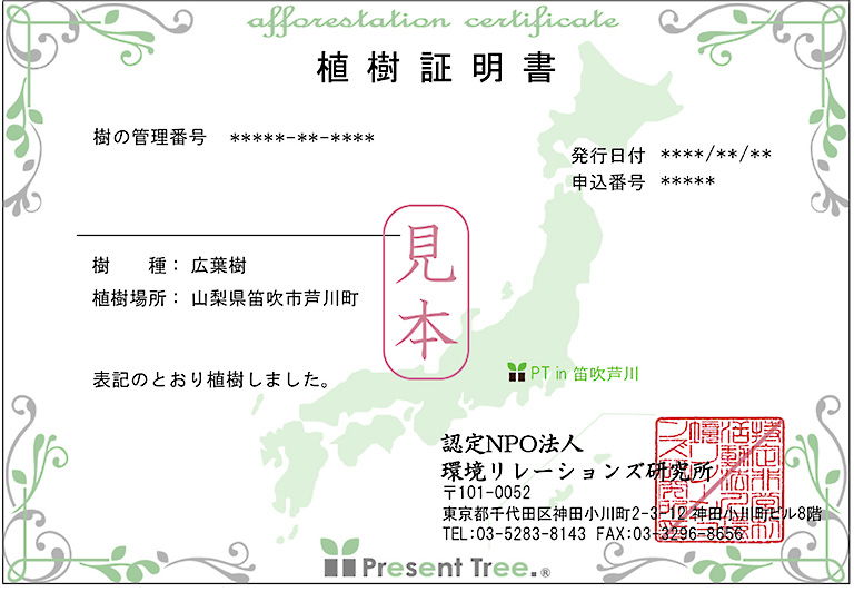 環境にやさしいプジョーに乗って、未来の森を育てよう！