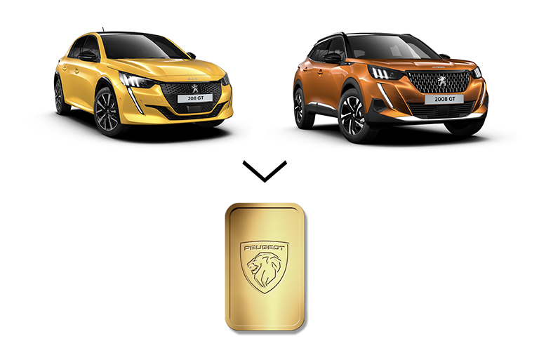 PEUGEOT GOLDEN LION CHALLENGE